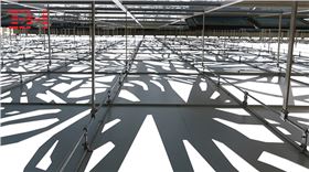 外墻藝術鏤空鋁單板 點亮建筑之美3